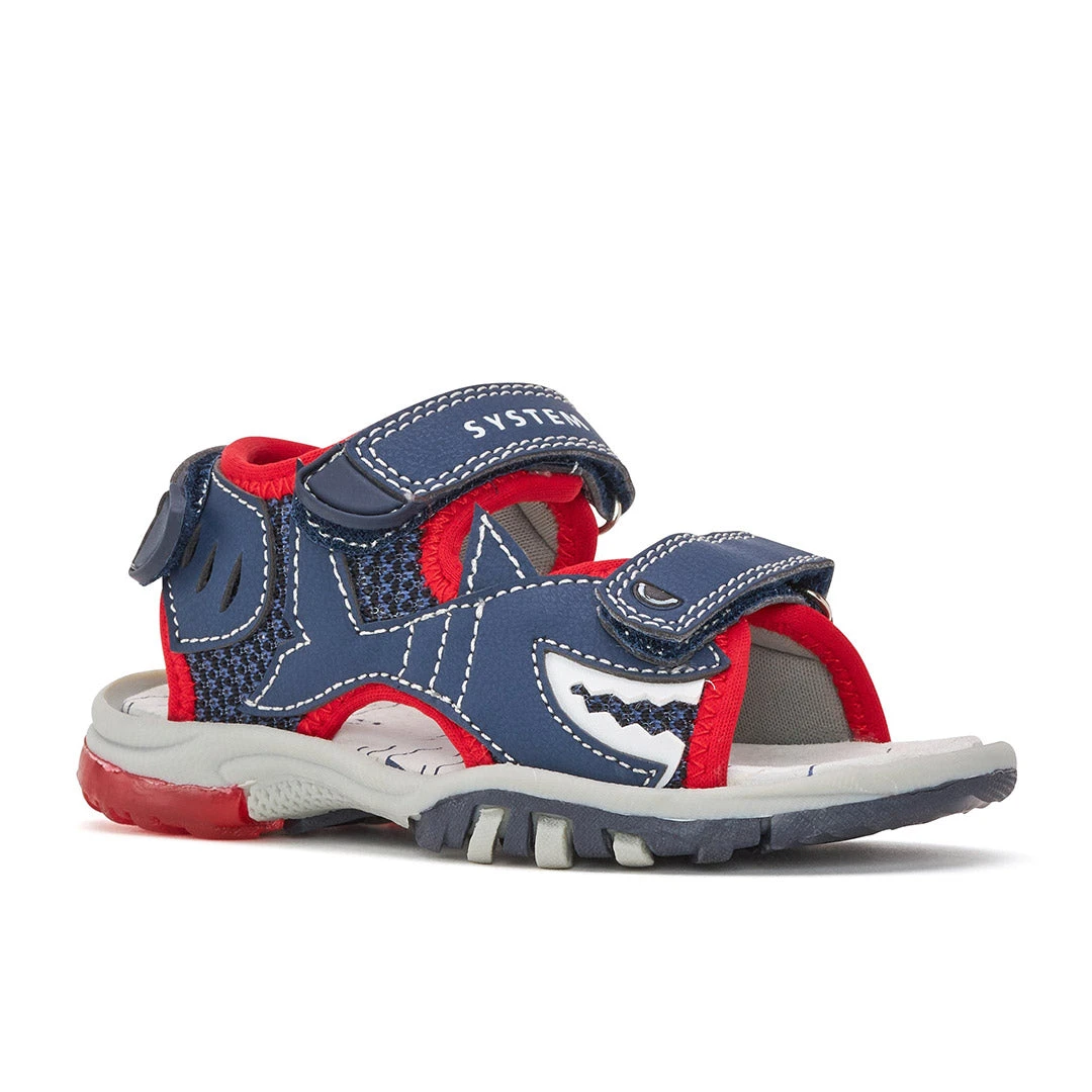 Tiny Shark 7 Tiny Shark - Image 5