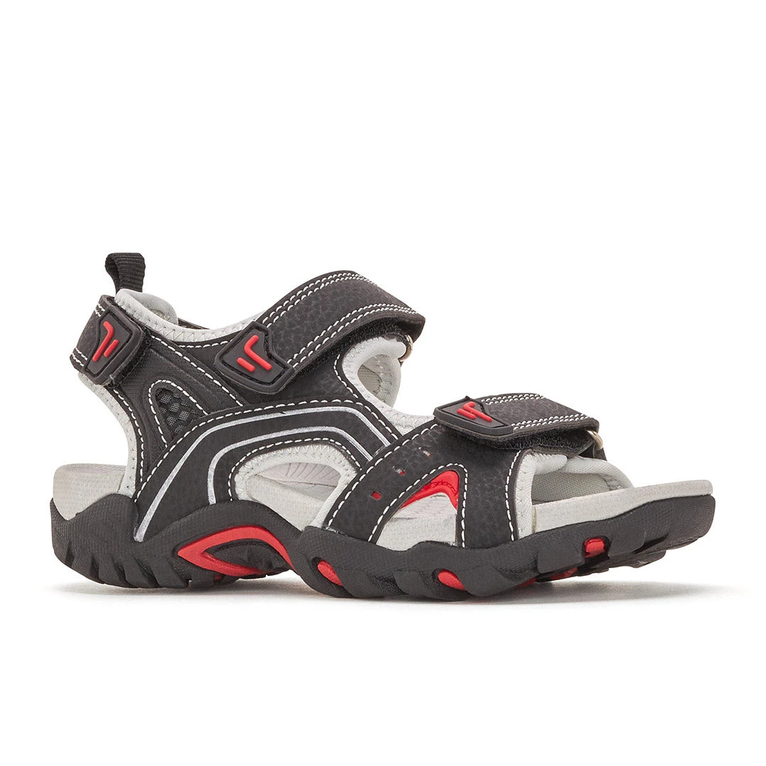 Alex 4 Alex - Image 2