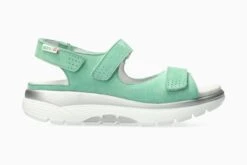 Norine - Light Grass(Norine Light Grass)