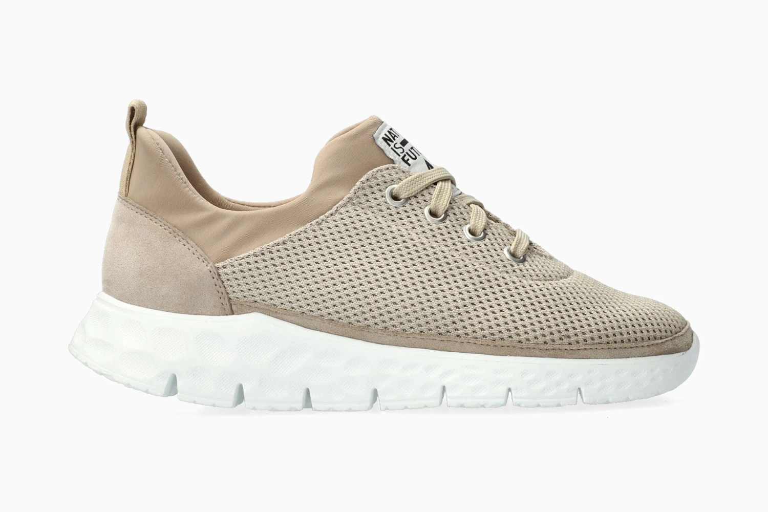 Wing - Warm Grey(Wing Warm Grey) 3 Wing - Warm Grey(Wing Warm Grey)