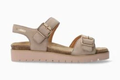 Tarina - Light Taupe(Tarina Light Taupe)