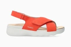 Malorie - Cranberry(Malorie Cranberry)