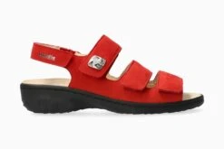 Giorgina - Scarlet(Giorgina Scarlet)