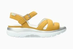 Noane - Ochre(Noane Ochre)