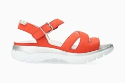 Noane - Cranberry(Noane Cranberry)