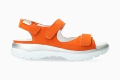 Norine - Burnt Orange(Norine Burnt Orange)